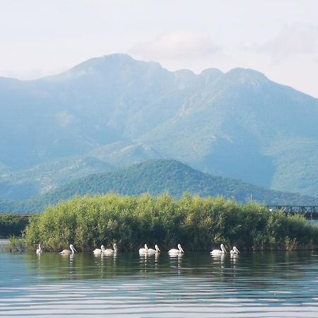 Apartment Dapcevic Skadar Lake Vranjina Εξωτερικό φωτογραφία