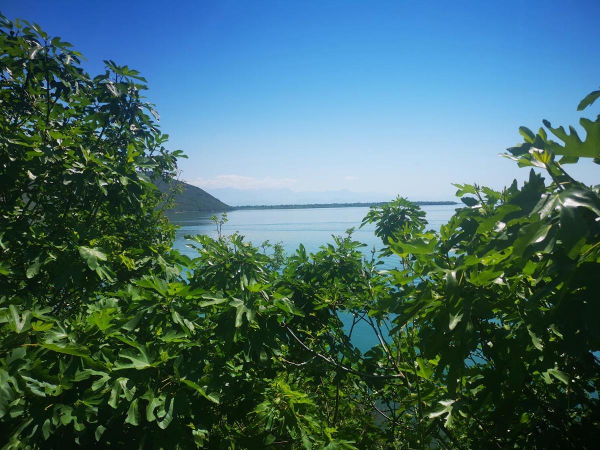 Apartment Dapcevic Skadar Lake Vranjina Εξωτερικό φωτογραφία