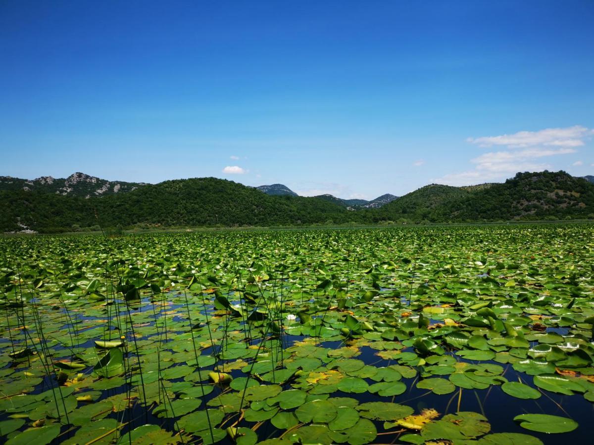 Apartment Dapcevic Skadar Lake Vranjina Εξωτερικό φωτογραφία