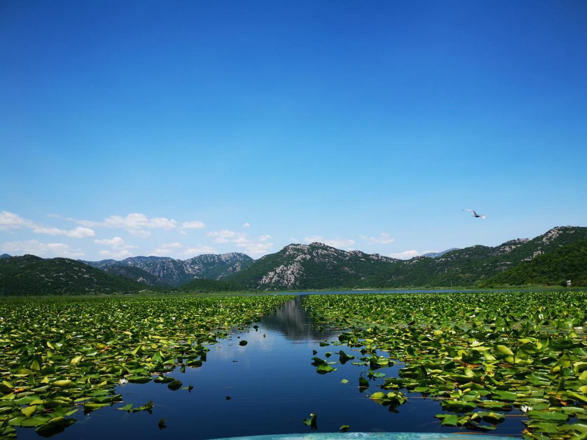 Apartment Dapcevic Skadar Lake Vranjina Εξωτερικό φωτογραφία