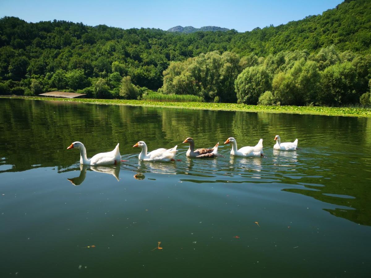 Apartment Dapcevic Skadar Lake Vranjina Εξωτερικό φωτογραφία